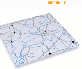 3d view of Pineville