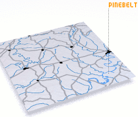 3d view of Pinebelt