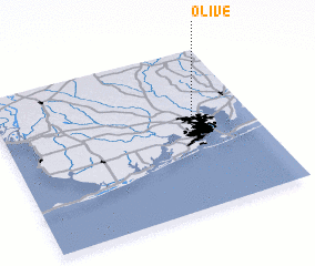 3d view of Olive