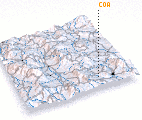 3d view of Coa