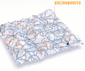 3d view of Encino Bonito