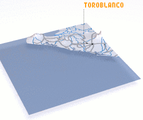 3d view of Toro Blanco