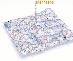 3d view of Sabanetas