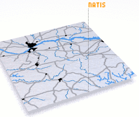 3d view of Natis