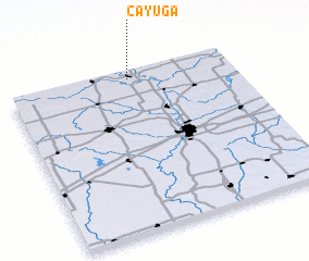 3d view of Cayuga