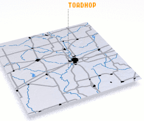 3d view of Toad Hop