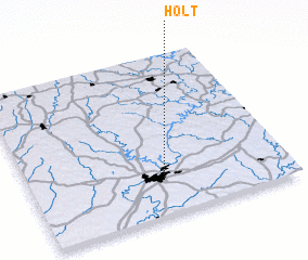 3d view of Holt