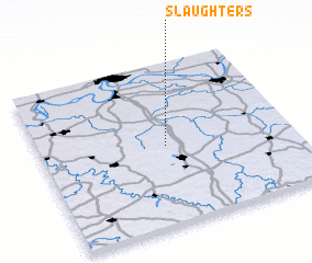 3d view of Slaughters