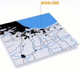 3d view of Woodland