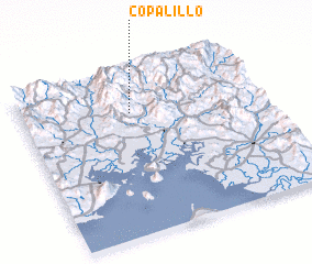3d view of Copalillo