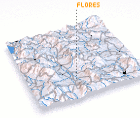 3d view of Flores