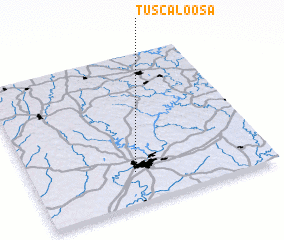 3d view of Tuscaloosa