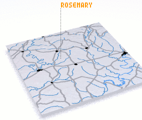 3d view of Rosemary