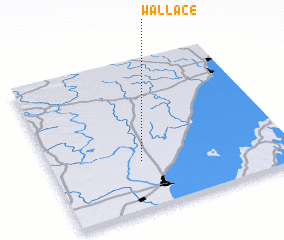 3d view of Wallace