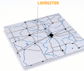 3d view of Livingston