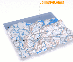 3d view of Lomas Pelonas