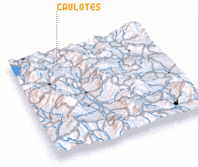 3d view of Caulotes