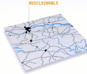 3d view of Muscle Shoals