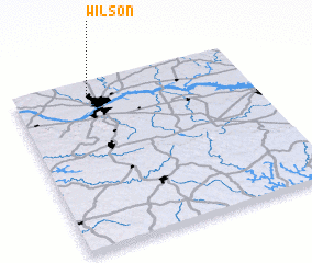 3d view of Wilson