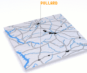 3d view of Pollard