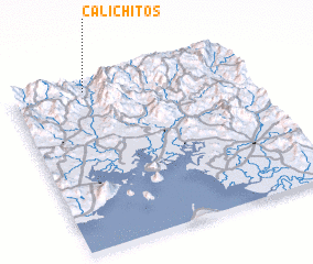 3d view of Calichitos