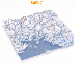 3d view of La Flor