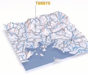 3d view of Tamayo