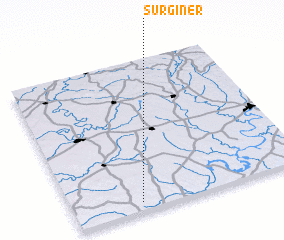 3d view of Surginer