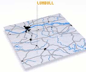 3d view of Lumbull