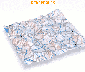 3d view of Pedernales