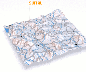 3d view of Suital