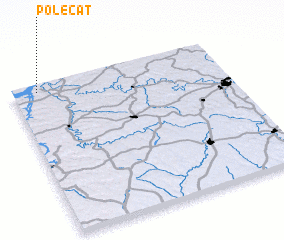 3d view of Polecat