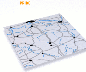 3d view of Pride