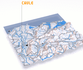3d view of Caule
