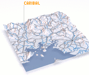 3d view of Caribal