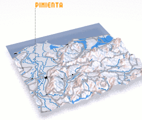 3d view of Pimienta