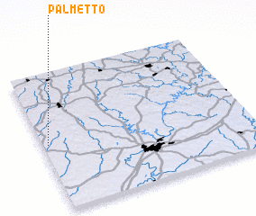 3d view of Palmetto