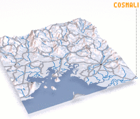 3d view of Cosmalí