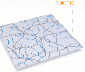 3d view of Toinette