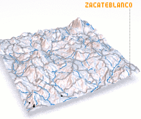 3d view of Zacate Blanco