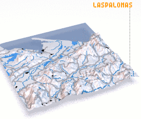 3d view of Las Palomas