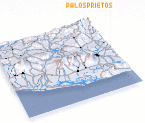 3d view of Palos Prietos