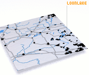 3d view of Loon Lake