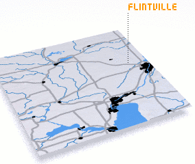 3d view of Flintville