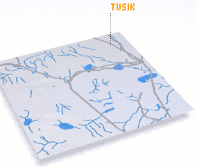 3d view of Tusik