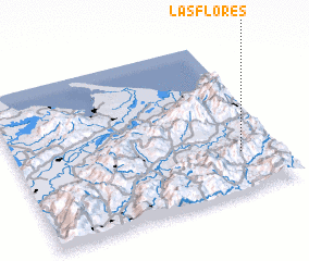 3d view of Las Flores