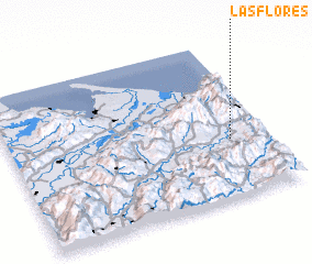 3d view of Las Flores