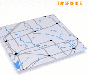 3d view of Toms Prairie