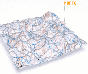 3d view of Monte