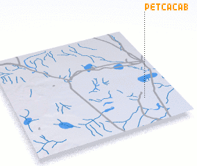 3d view of Petcacab